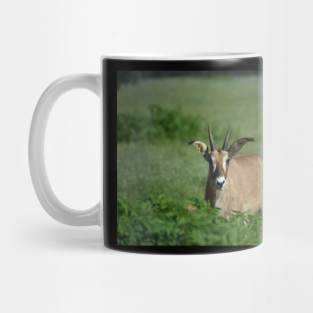 Roan Antelope Mug